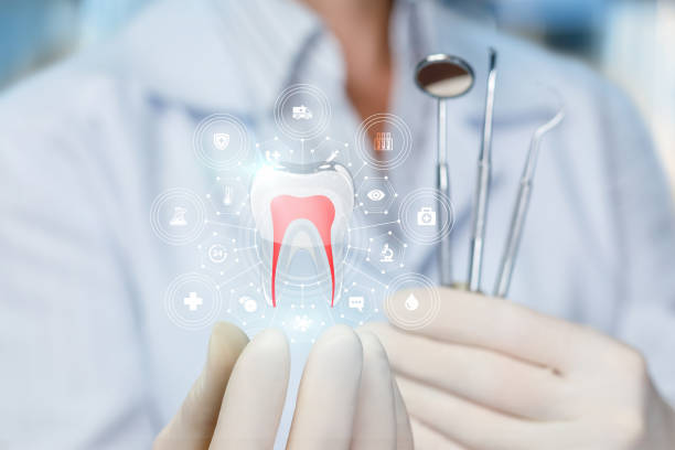  Ranlo, NC Dental Services Pros